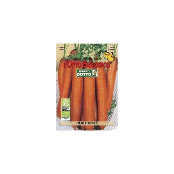Semi biologici di Carota Berlicum 3