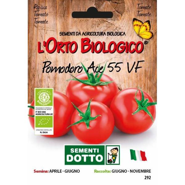 Semi biologici di Pomodoro Ace 55