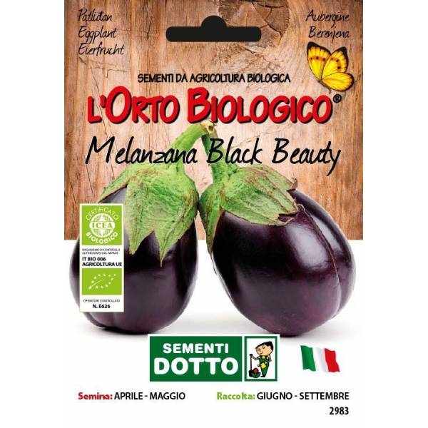 Semi biologici di Melanzana Black Beauty