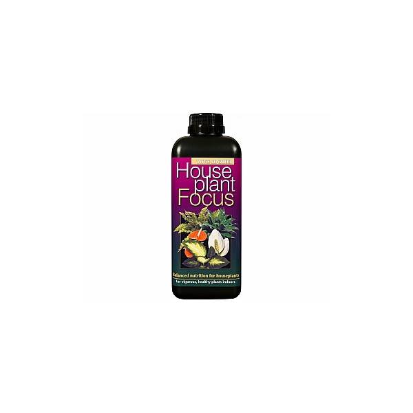 HousePlant Focus 300ml