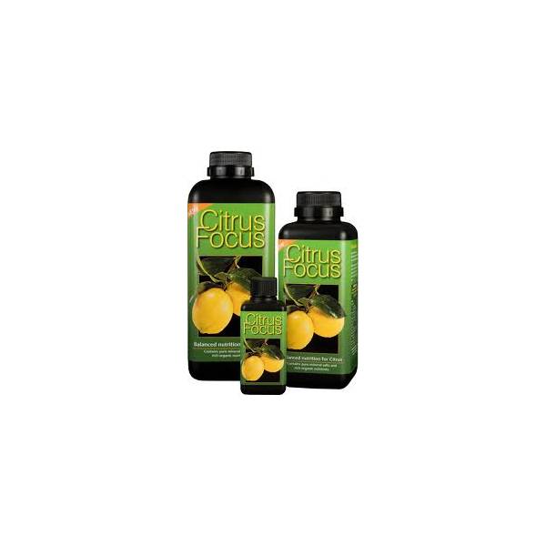Citrus Focus 300ml - Growth Technology