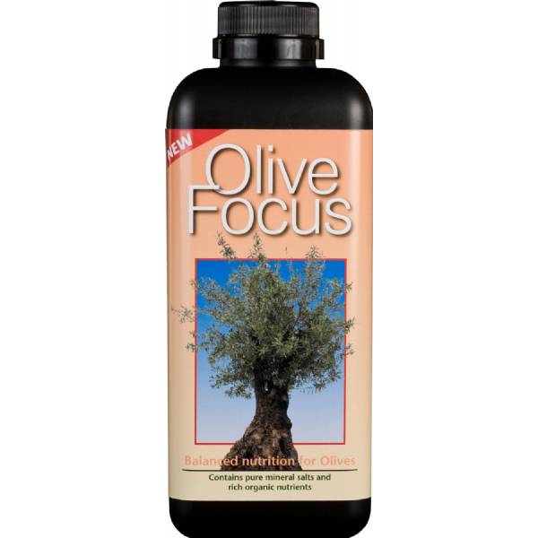 Olive Focus 1L - Growth Technology