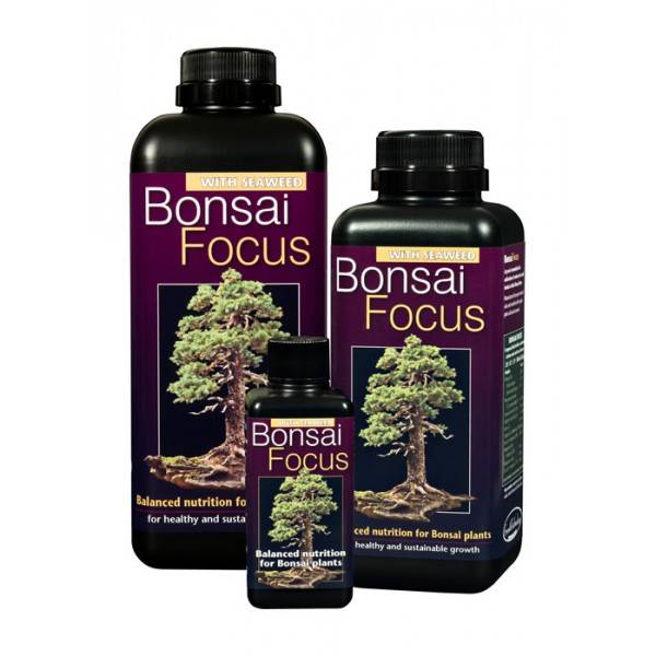 Bonsai Focus 300ml - Growth Technology