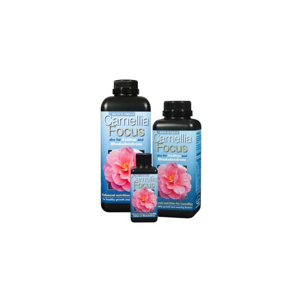 Camelia Focus 300ml - Growth Technology