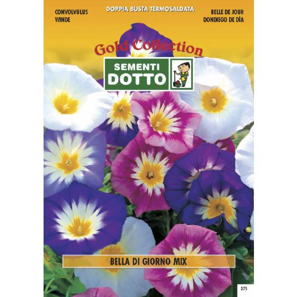 Semi di BELLA DI GIORNO in mix - h cm 50