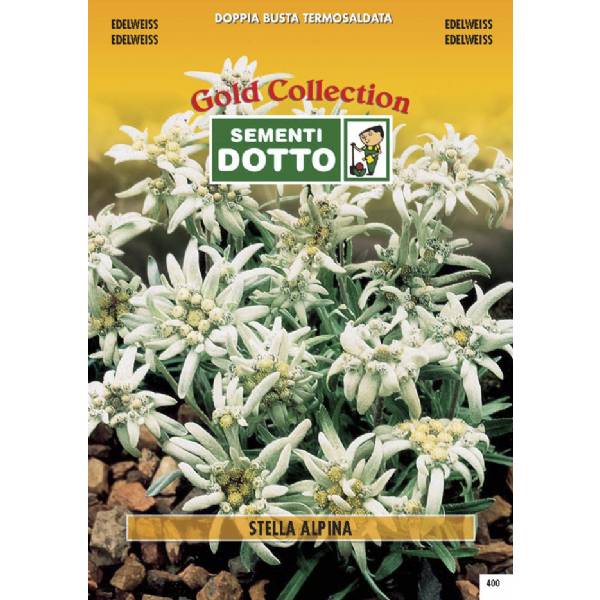 Semi di STELLA ALPINA  - h cm 25