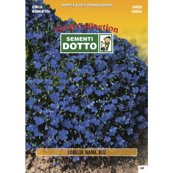 Semi di LOBELIA nana blu scuro - h cm 20