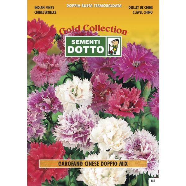 Semi di GAROFANO Cinese Doppio in mix - h cm 35