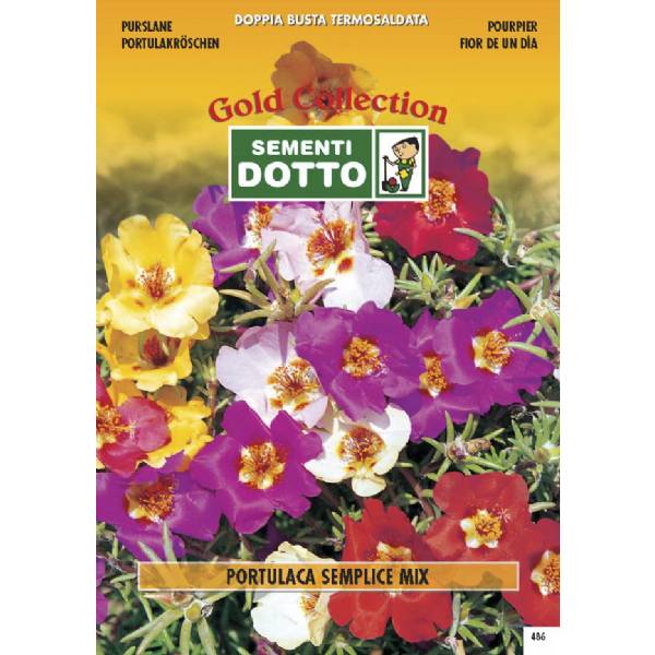 Semi di PORTULACA Semplice  in mix - h cm 15