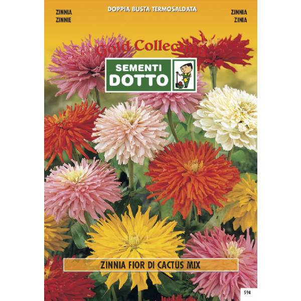 Semi di ZINNIA  a Fior di Cactus in  mix - h cm 75