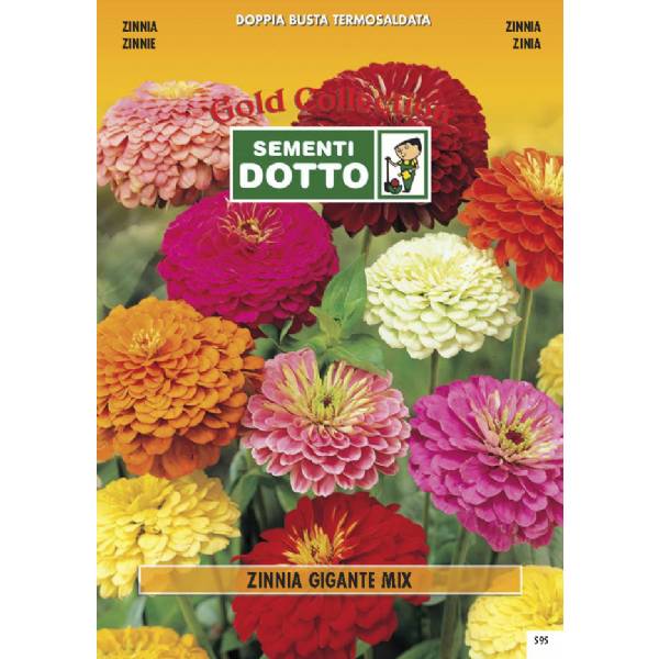 Semi di ZINNIA Gigante  in mix - h cm 75