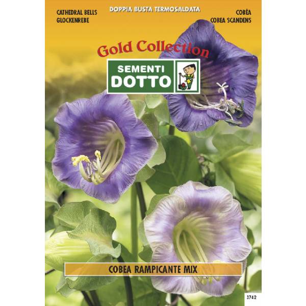 Semi di COBEA in mix - h cm 400