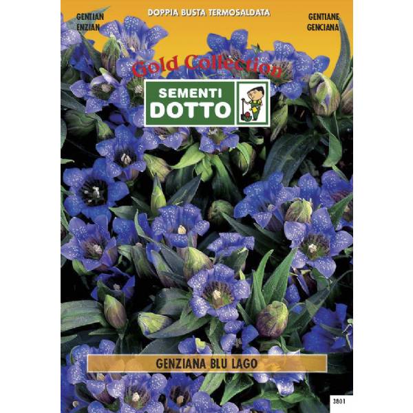 Semi di GENZIANA Blu Lago - h cm 15