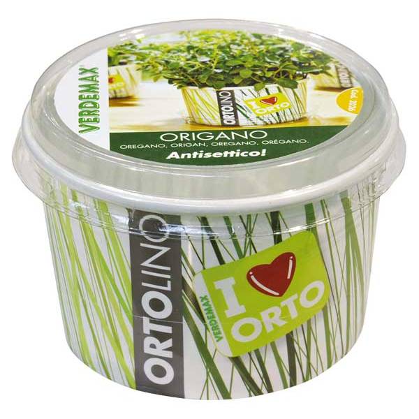 Kit Coltivazione - Ortolino Origano