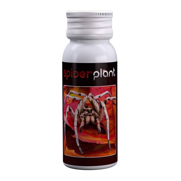 Agrobacterias - Spider Plant 15ml