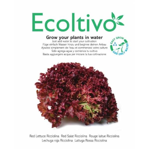 Lattuga Rossa a Foglia Riccia da Taglio - Ecoltivo
