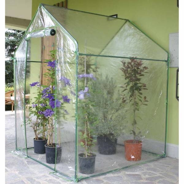 Serra Clematis cm 155x155xh205 - Verdemax