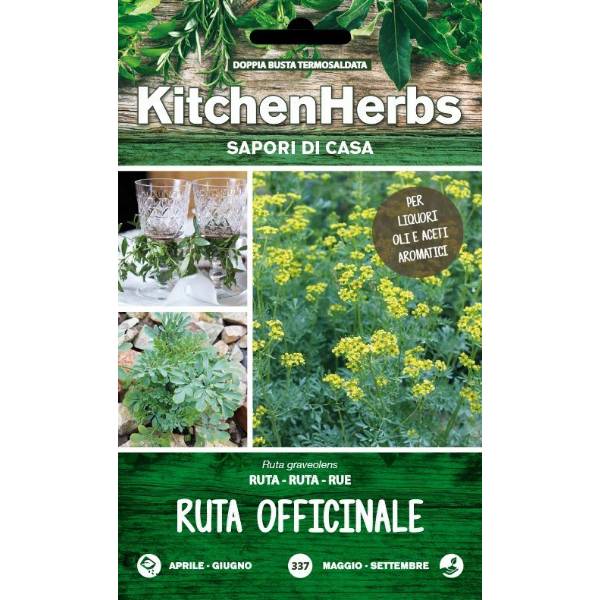 Kitchen Herbs - Ruta Officinale - Sem. Dotto