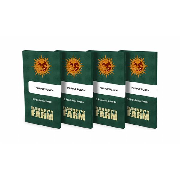 Barney's Farm - Glookies 10 fem