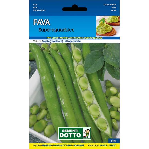 Sementi da Orto - Fava da orto Superaguadulce - Sem. Dotto