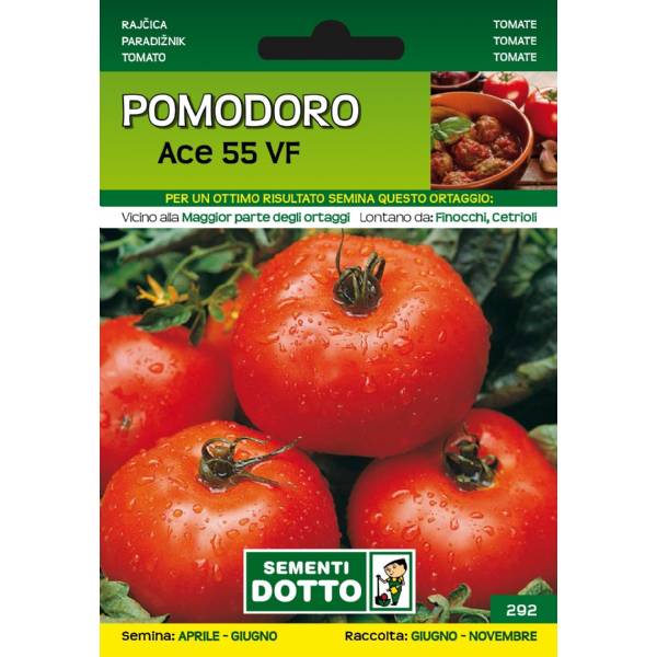 Sementi da Orto - Pomodoro Ace 55 VF - Sem. Dotto
