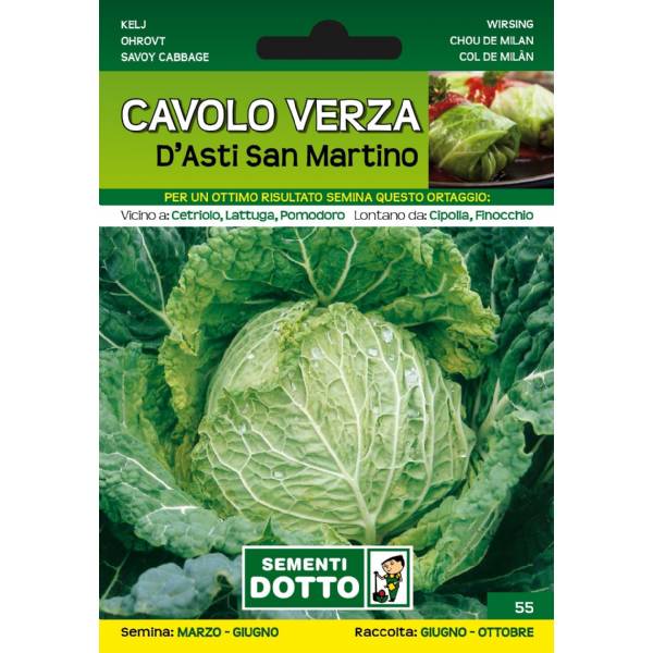 Sementi da Orto - Cavolo Verza D'Asti San Martino - Sem. Dotto