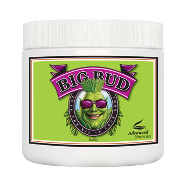 Adv Nutrients - Big Bud Powder 500g