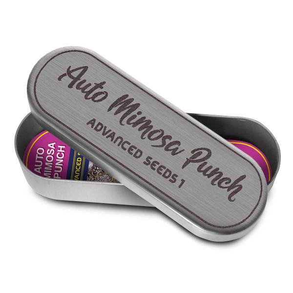 Advanced Seeds - Auto Mimosa Punch - 5+2 Auto