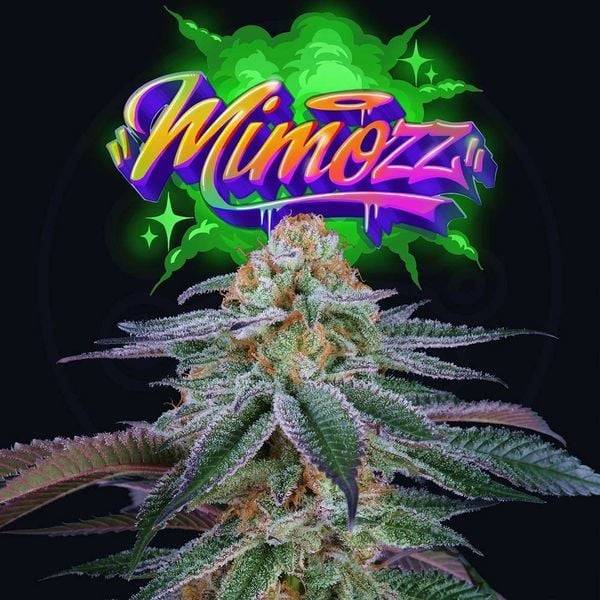 Perfect Tree - Mimooz - 6 Fem