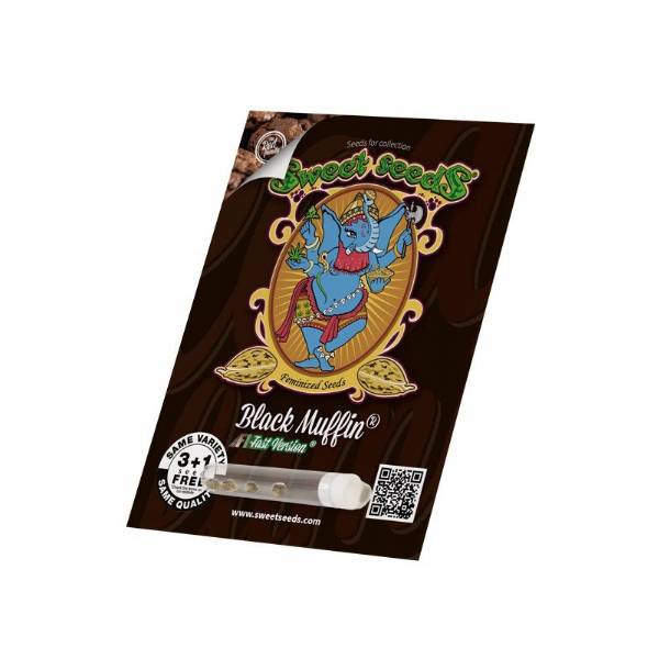 Sweet Seeds - Black Muffin F1 Fast Version - 3+1 fem