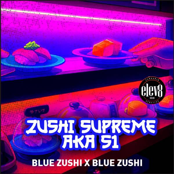 Elev8 Seeds - Zushi Supreme (Blue Zushi S1) - 3 fem